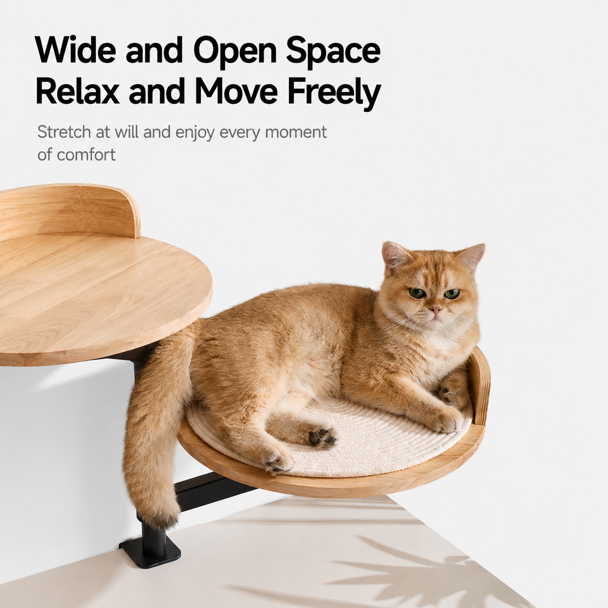 RolyCozy Cat Desk Bed